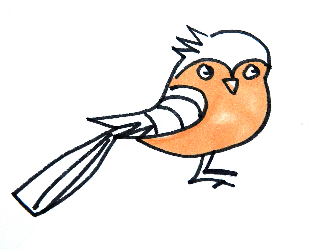 一步一步教你画小鸟的画法步骤 儿童简笔画图片 - 有点网 - 好手艺
