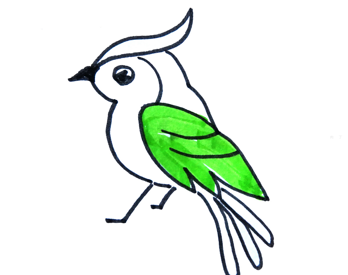 教你画有颜色小鸟的画法教程 可爱简笔画图（捧花简笔画图片大全） - 有点网 - 好手艺