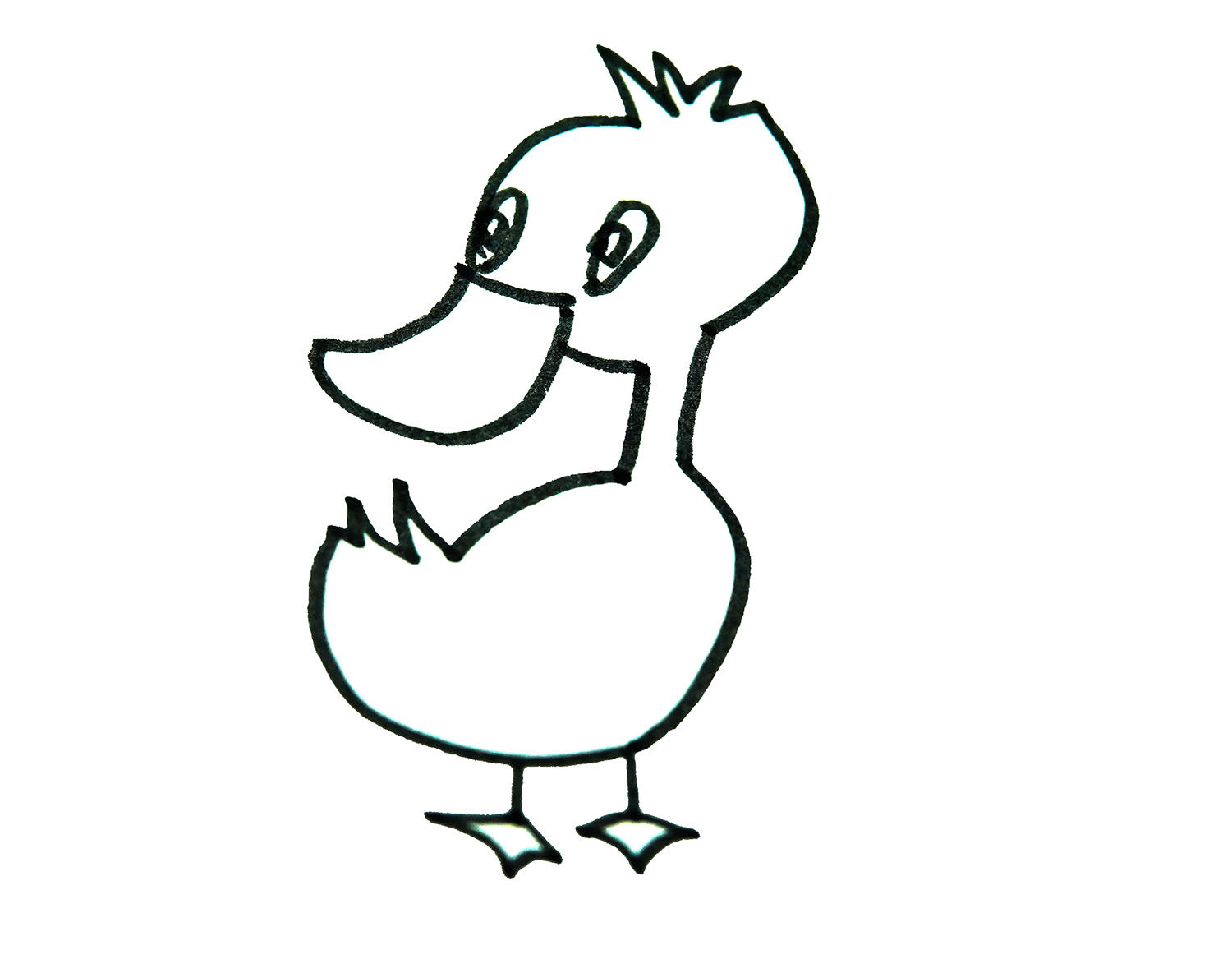 怎么画色彩小鸭子的画法步骤 幼儿简笔画步骤 肉丁儿童网