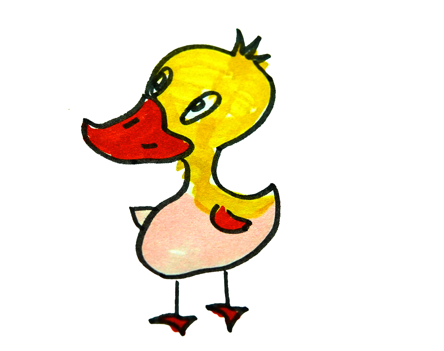 简单漂亮动物简笔画小鸭子的步骤图片 肉丁儿童网