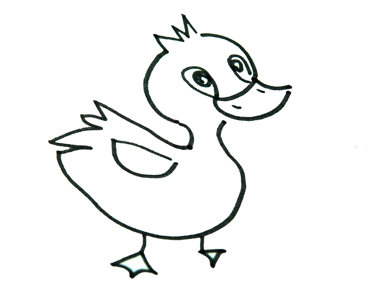 卡通可爱小鸭子图片大全-卡通可爱小鸭子高清图片下载-觅知网