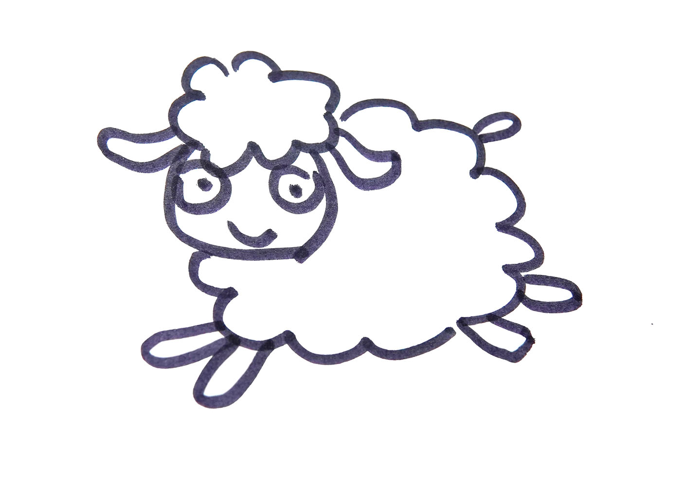 绵羊简笔画画法图解教程💛巧艺网
