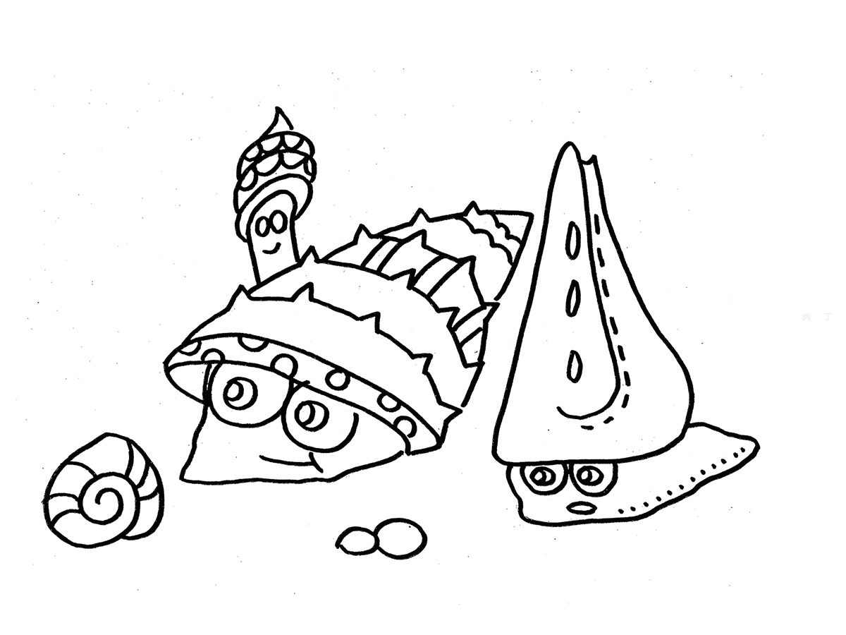 [插画]贝壳&海螺（2）|插画|插画习作|江户 - 原创作品 - 站酷 (ZCOOL)
