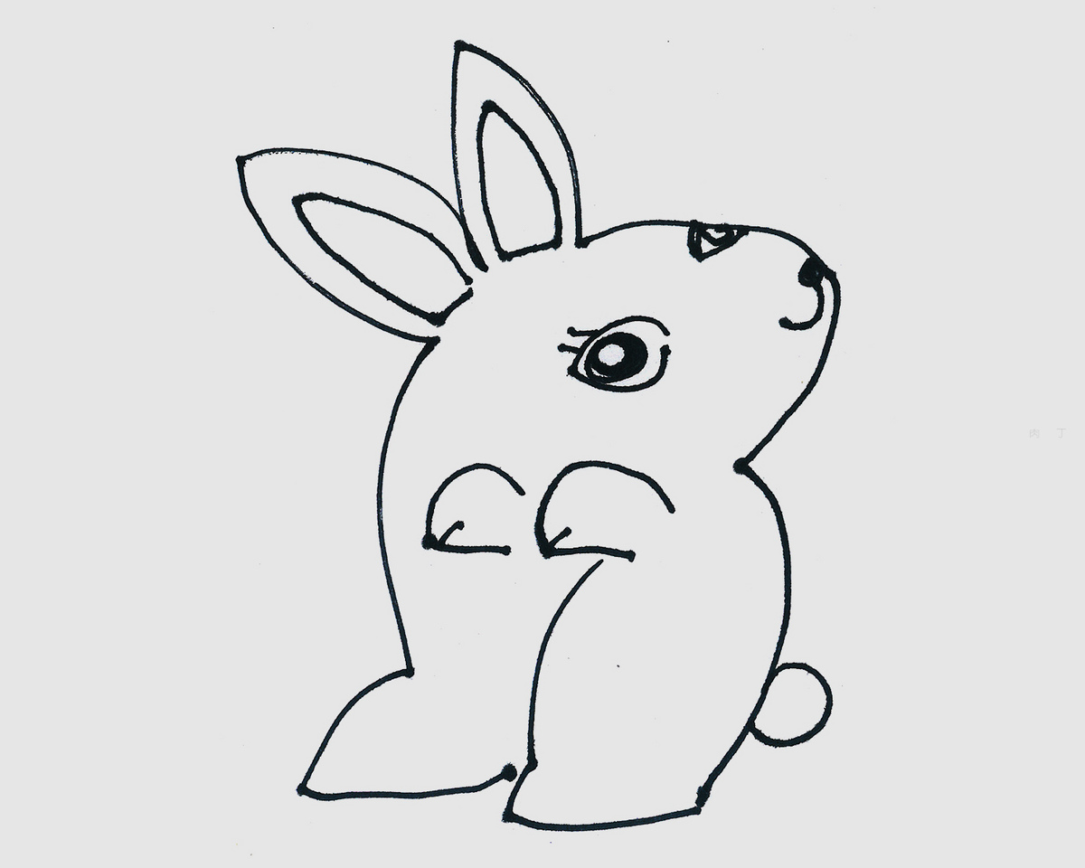 5组超可爱兔子简笔画大全_陆地动物