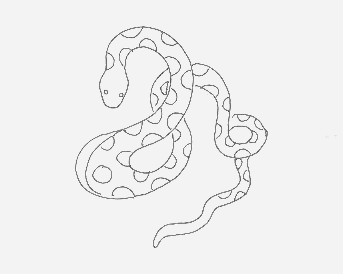 国画蛇,铅笔画蛇,一步一步画蟒蛇(第10页)_大山谷图库