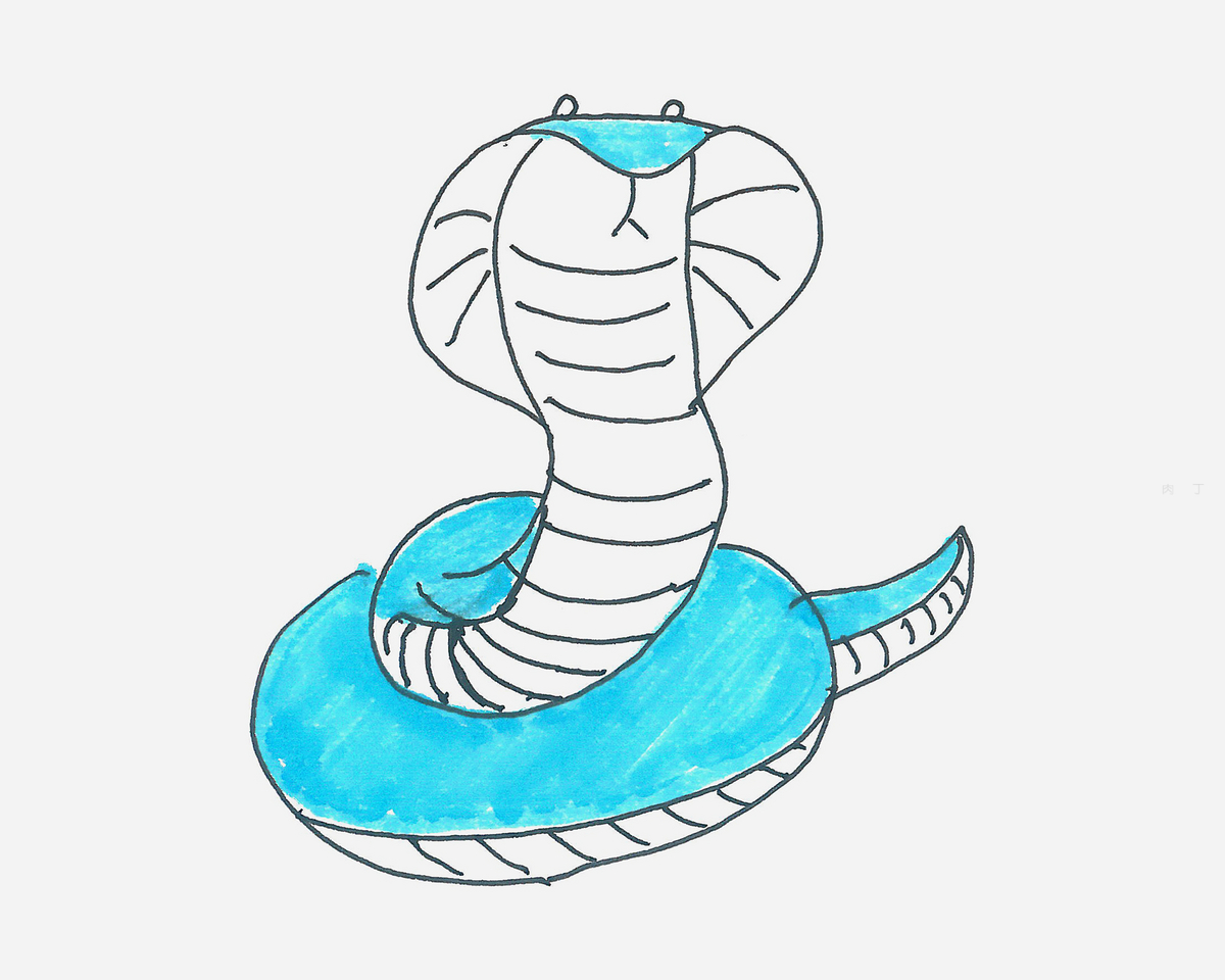 彩色小蛇简笔画画法图片步骤（桌子简笔画） - 有点网 - 好手艺