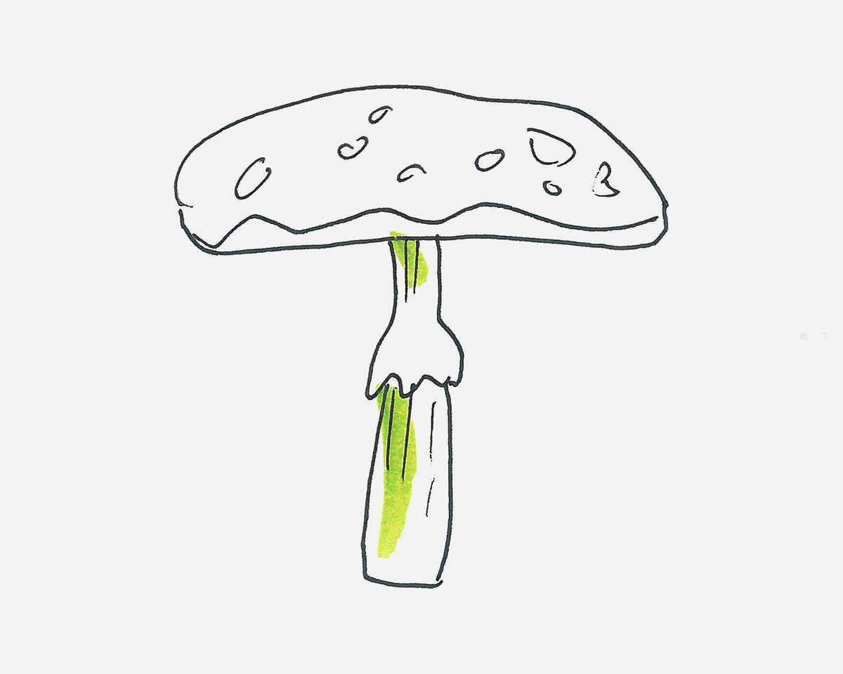 简笔画蘑菇的画法 1一6年级画画图片 肉丁儿童网