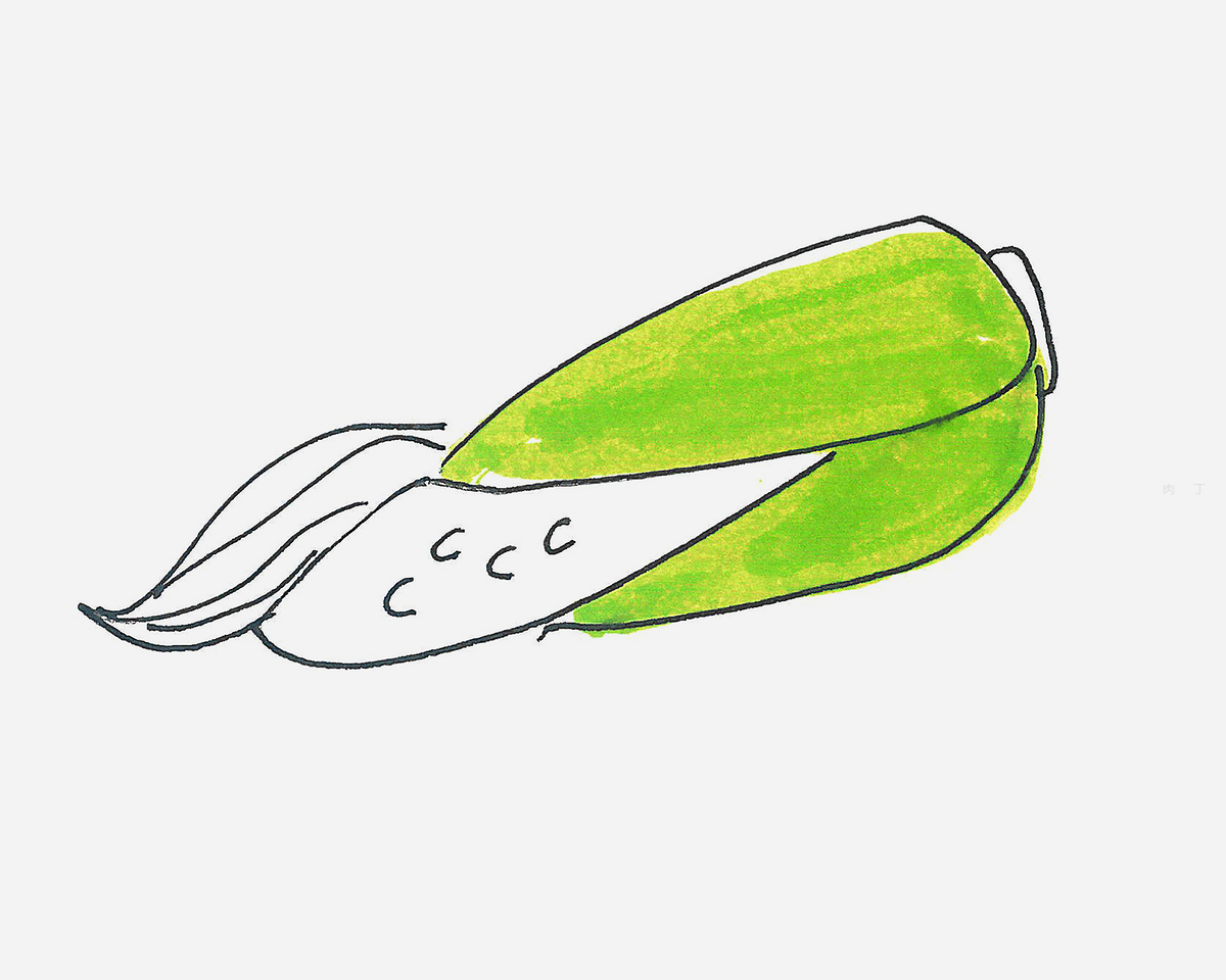 手绘玉米矢量素材设计图__蔬菜_生物世界_设计图库_昵图网nipic.com