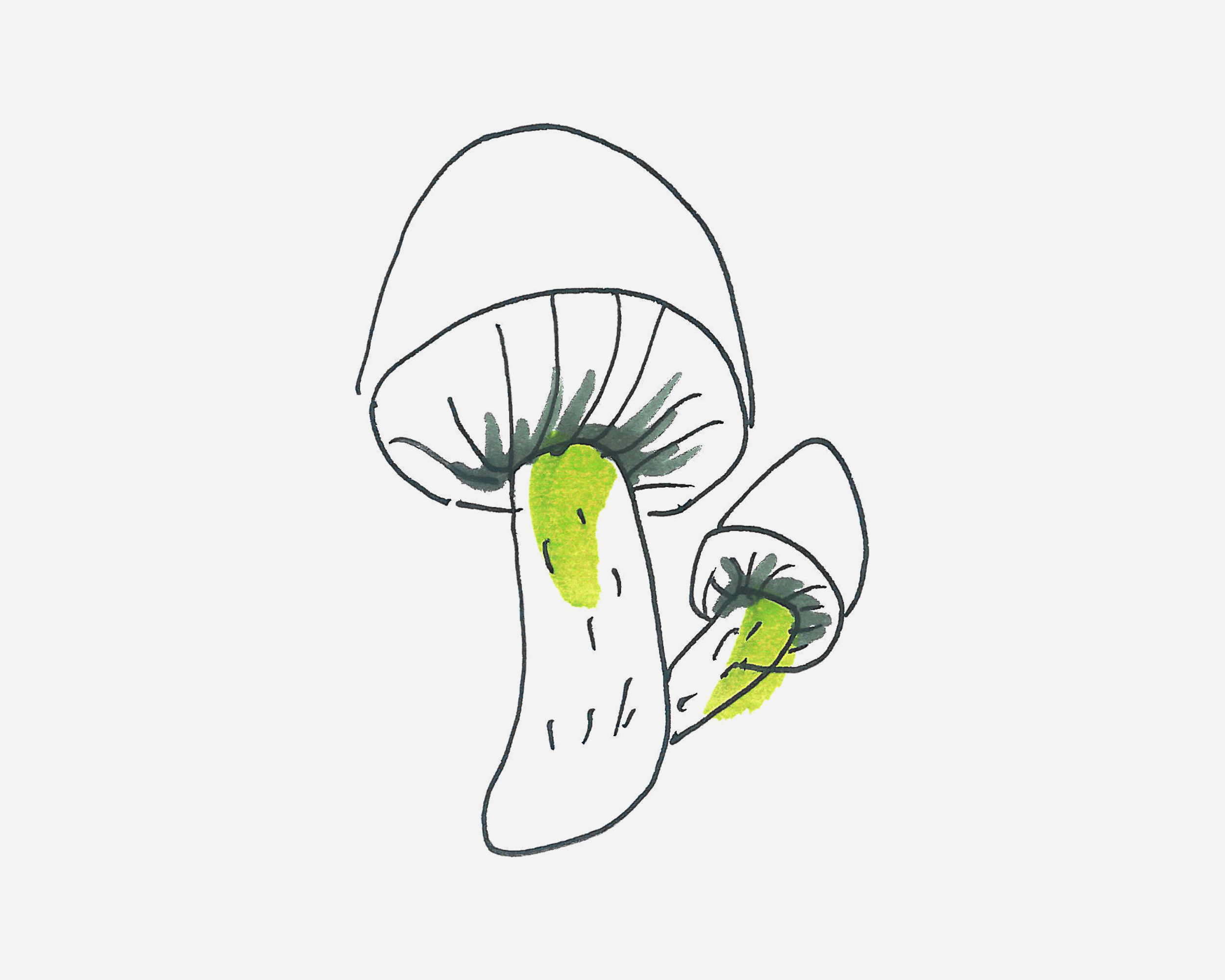 卡通蘑菇简笔画作品图片欣赏_蔬菜简笔画