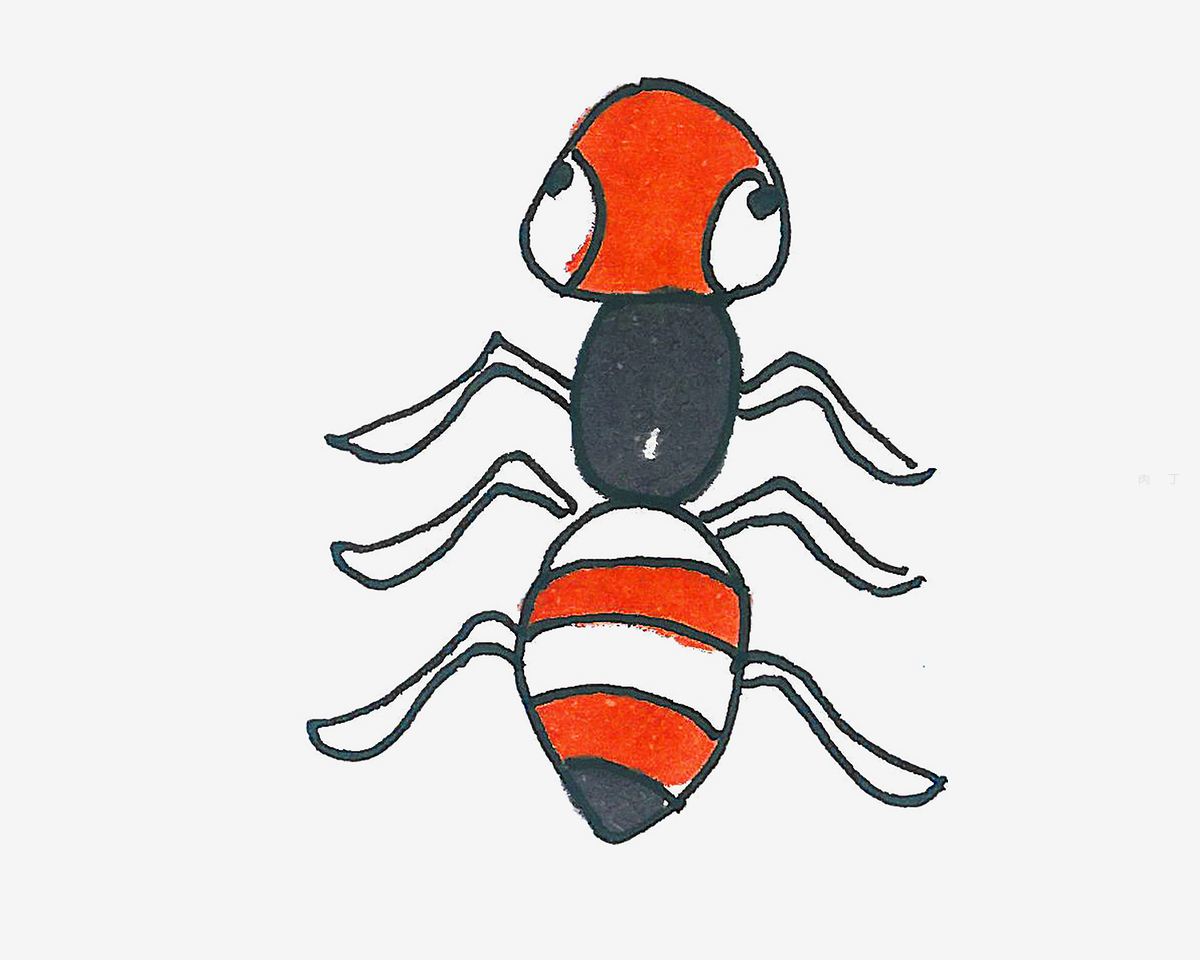 红蚂蚁和它们作为一群行动蚂蚁的共存，在它们的巢穴里作为一个团队工作。团结理念团队合作_3840X2160_高清视频素材下载(编号 ...