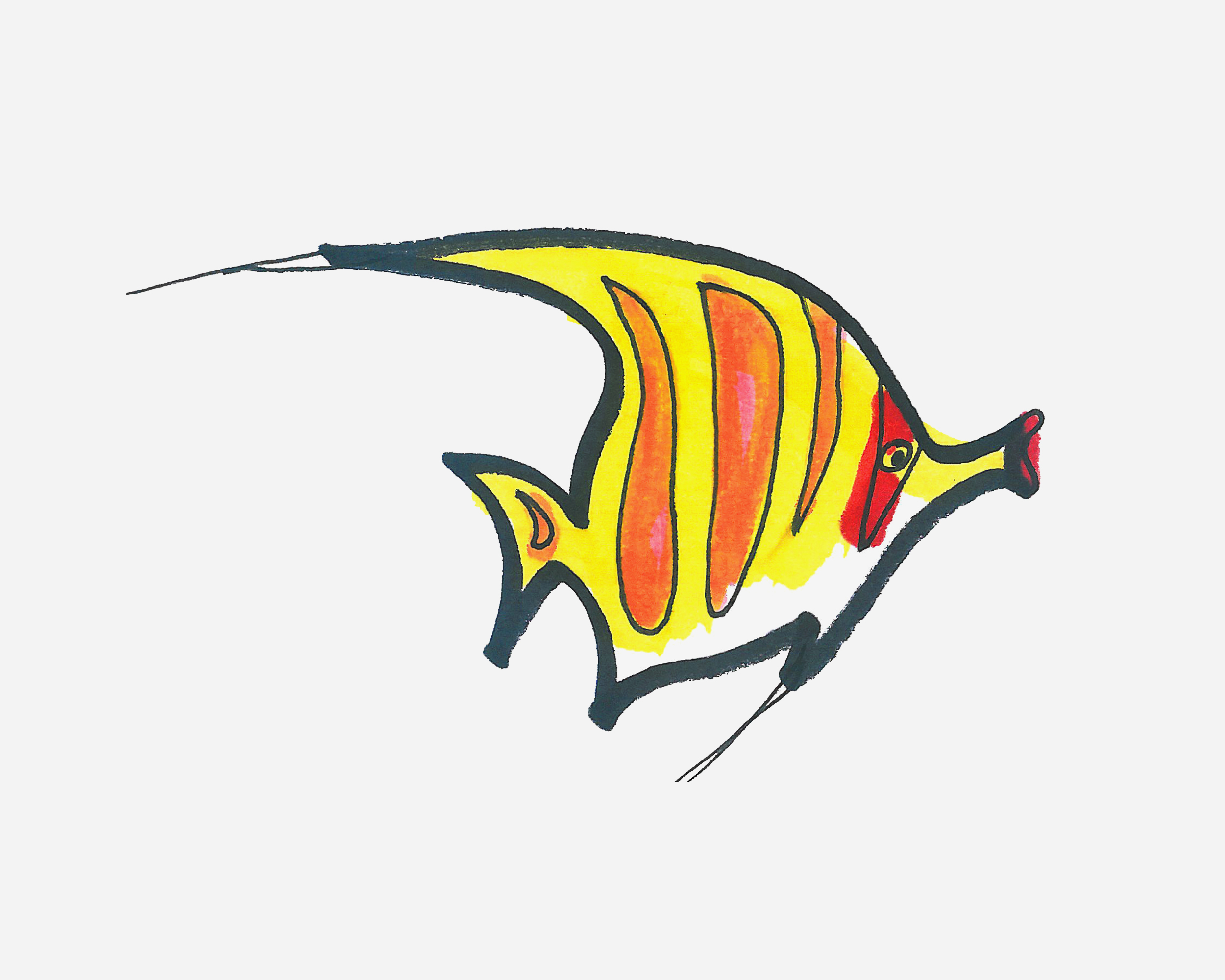 漂亮热带鱼简笔画画法图片步骤
