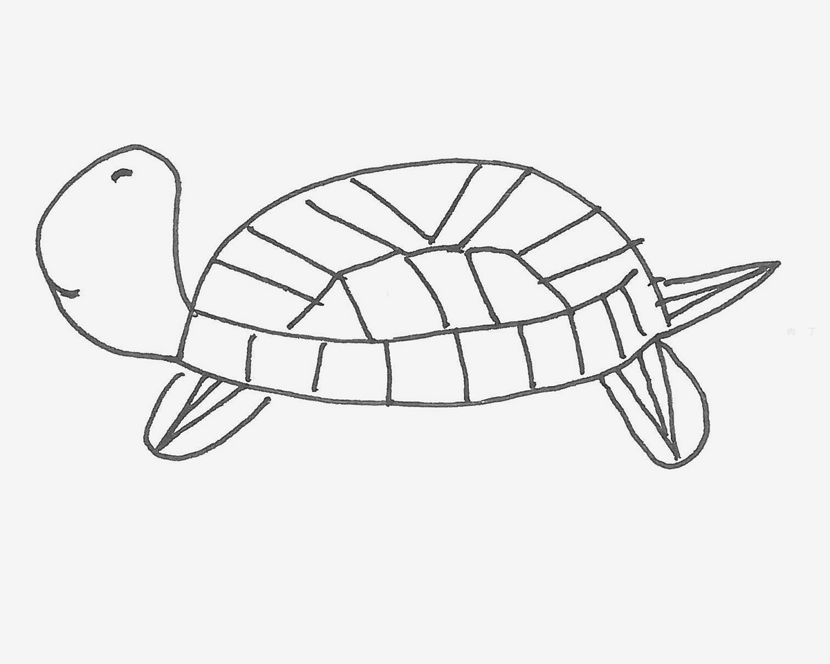 儿童8一12岁画画 好看简笔画海龟怎么画图解教程（鸟简笔画图片大全） - 有点网 - 好手艺
