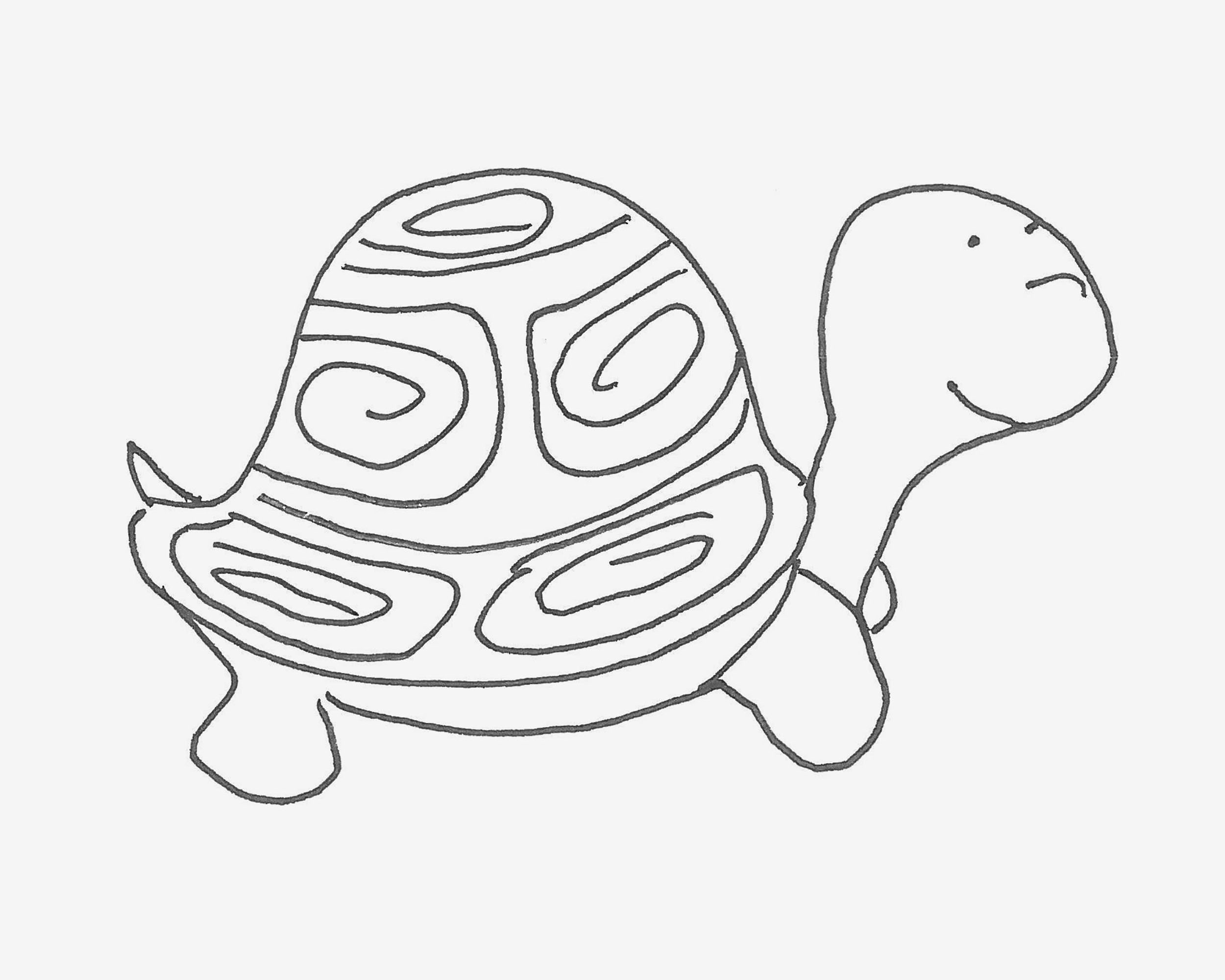 彩色画画 趣味简笔画乌龟怎么画过程图💛巧艺网