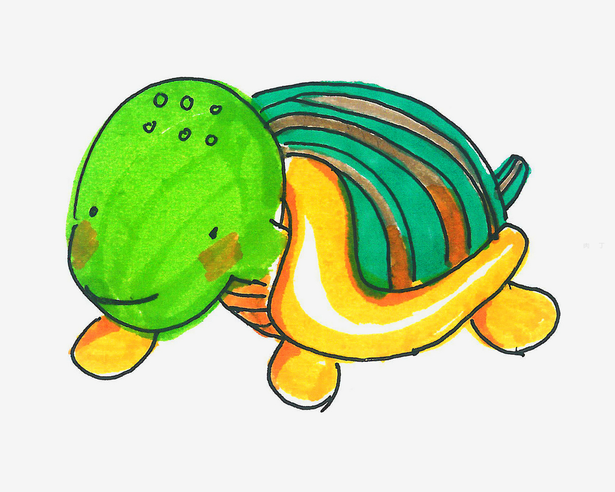 正面的彩色乌龟简笔画画法图片步骤 - 有点网 - 好手艺