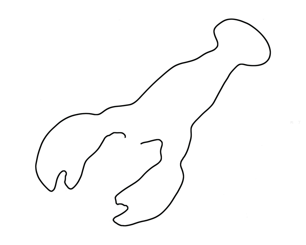 8一12岁简笔画 实用简笔画龙虾的画法图解💛巧艺网