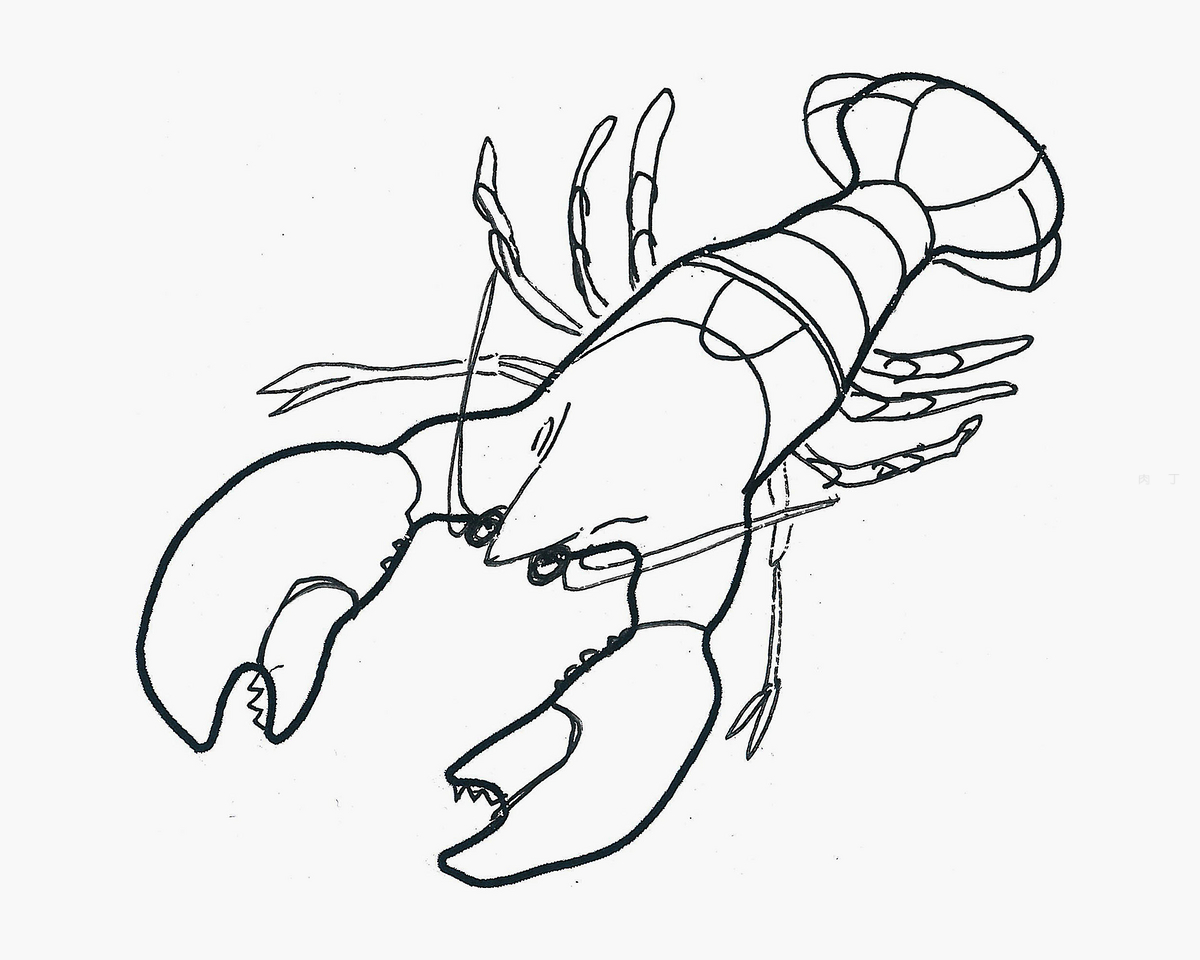 3-6岁简笔画 实用简笔画龙虾的画法💛巧艺网