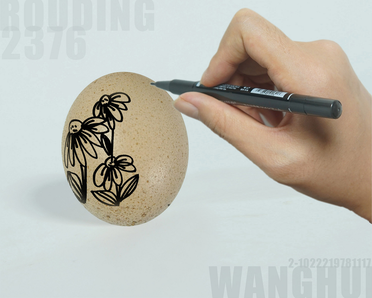 50种鸡蛋绘画教程素材💛巧艺网