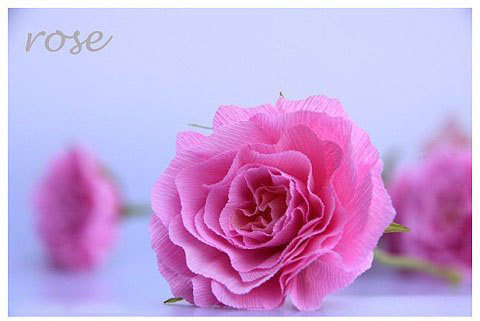 玫瑰花纸花手工制作 皱纹纸制作漂亮玫瑰花