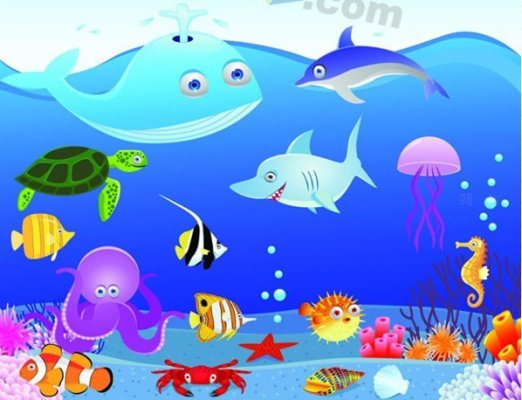 海底世界儿童画图片：海底的美景