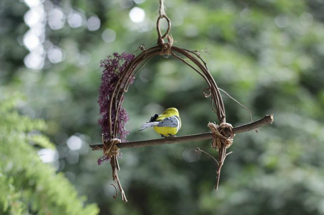 用树枝制作漂亮的小鸟栖息挂饰