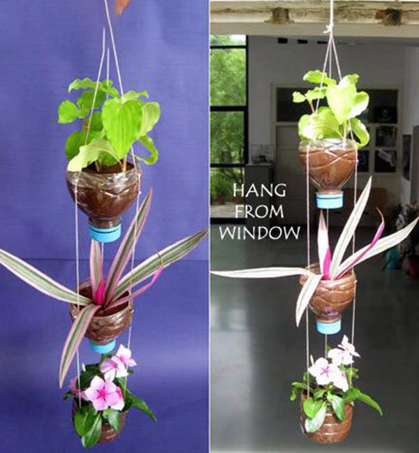 漂亮的盆栽制作 饮料瓶挂式花器